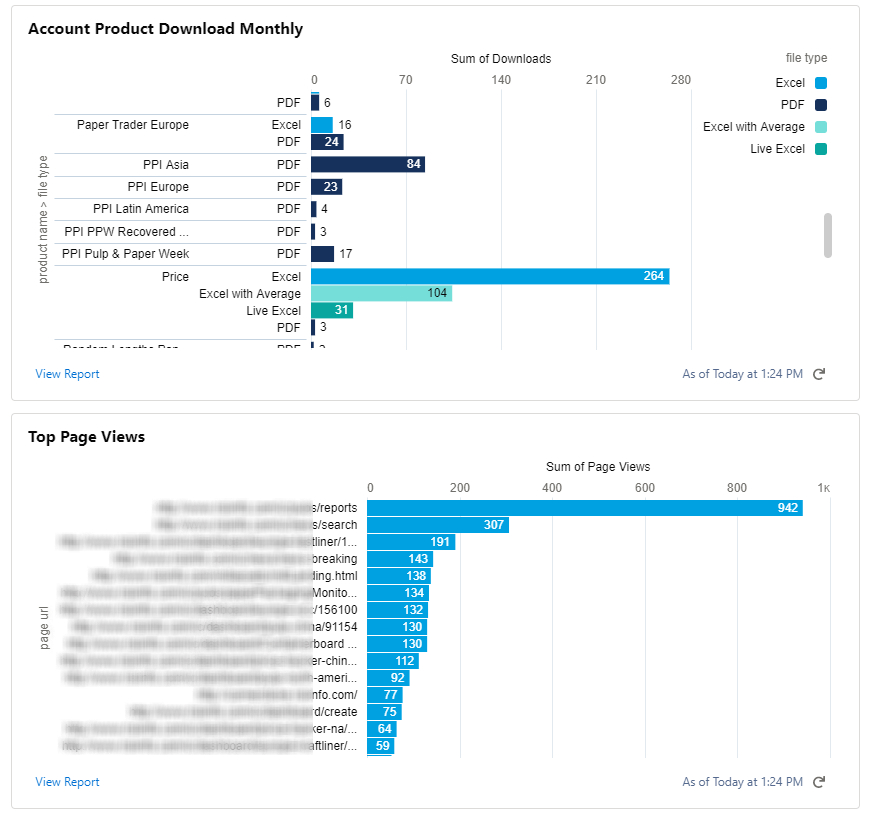 Dashboard displaying the download stats per month and top page (URLs) views